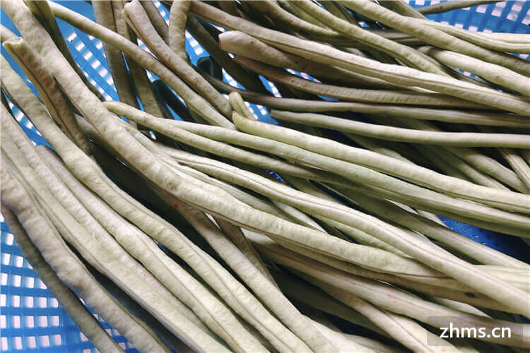 豇豆和四季豆的区别是什么?豇豆和四季豆的味道怎么样? 豇豆和四季豆的区别是什么?豇豆和四季豆的味道怎么样?
