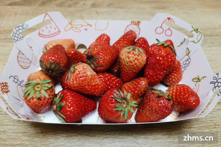 怎么选新鲜的草莓？从哪方面选？