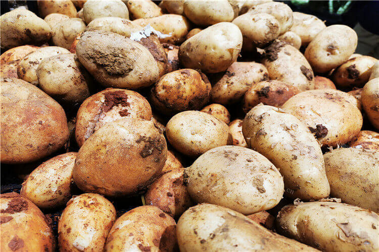 土豆怎么快速炖烂？土豆弄什么好吃呢？