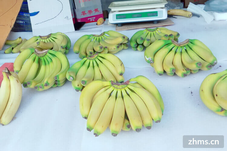 香蕉能催熟水果吗