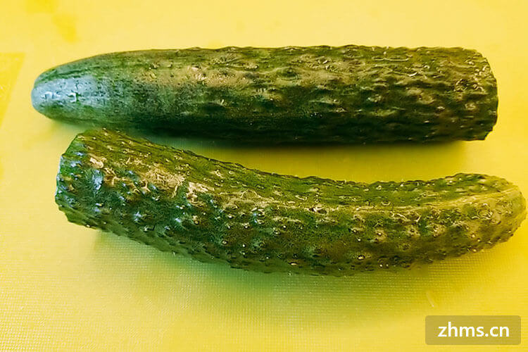 8月适合种植什么蔬菜
