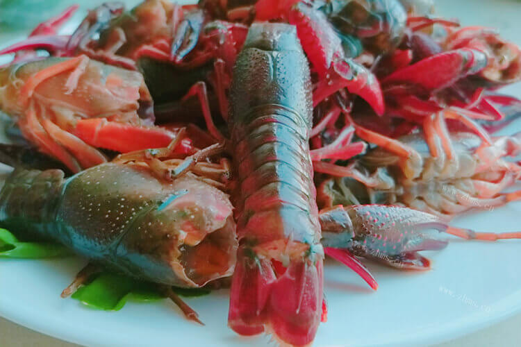 准备在家蒸大龙虾，大龙虾怎么蒸好吃又简单呢？