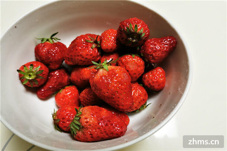 草莓是什么季节