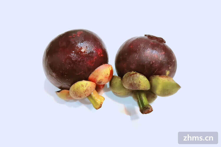 山竹是夏季水果吗 山竹是夏季水果吗