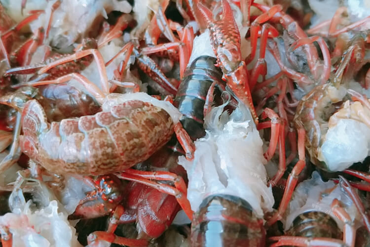 最近想吃虾，想知道牡丹虾和鳌虾的区别是什么？