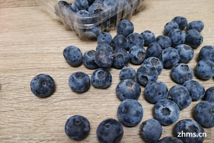 蓝莓的果肉是什么颜色？怎么挑选蓝莓？