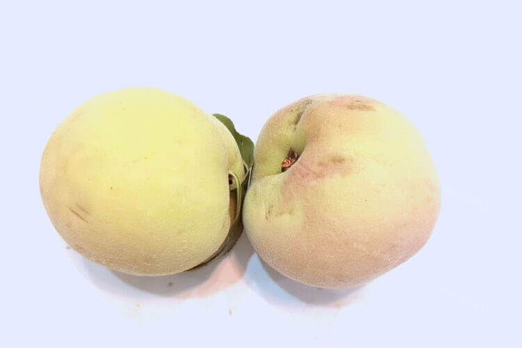 把桃子寄快递，桃子运输冰袋需要吗？