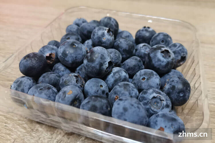 哪里的蓝莓最好吃?购买蓝莓一定要认准
