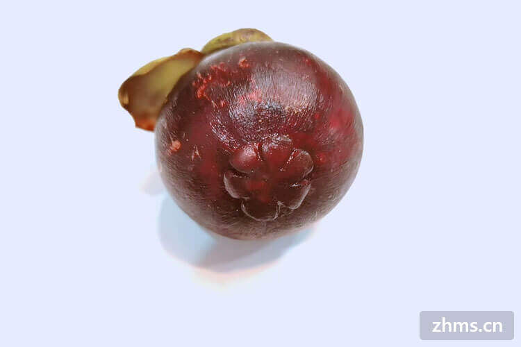 夏天山竹怎么保存才新鲜 夏天山竹怎么保存才新鲜