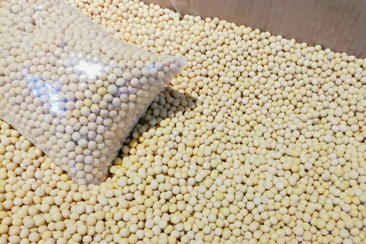冰箱里冻了一些豌豆，冻豌豆煮多久能熟？