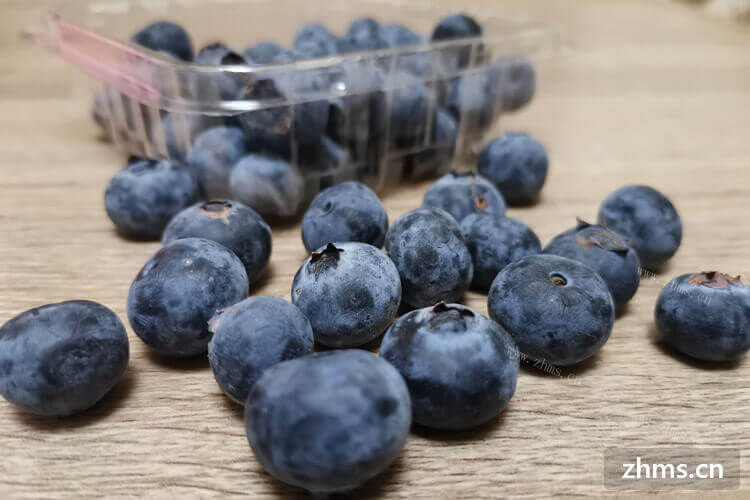 蓝莓酒很香甜，想了解自酿蓝莓酒能存多少年？