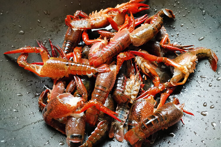 炎炎夏日正值吃龙虾的季节，想问下芽庄龙虾的价格是多少呢？