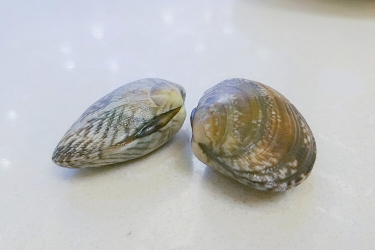 在炒扇贝和花甲需要搭配什么样的菜品，扇贝跟花甲一起炒可以吗？
