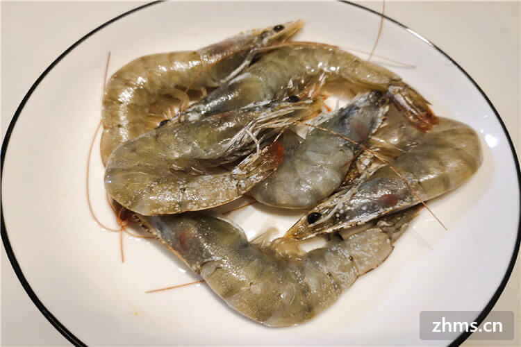 青虾属于淡水虾还是海水虾