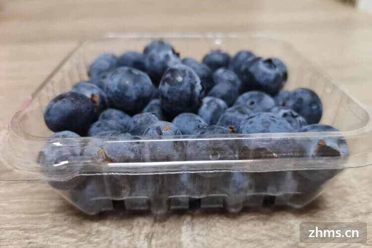 蓝莓哪个品种最好吃