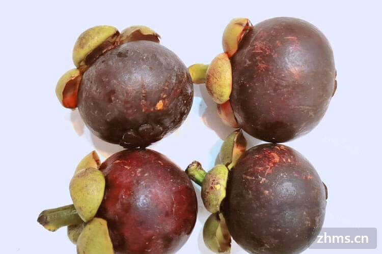 泰国山竹成熟季节是什么时候