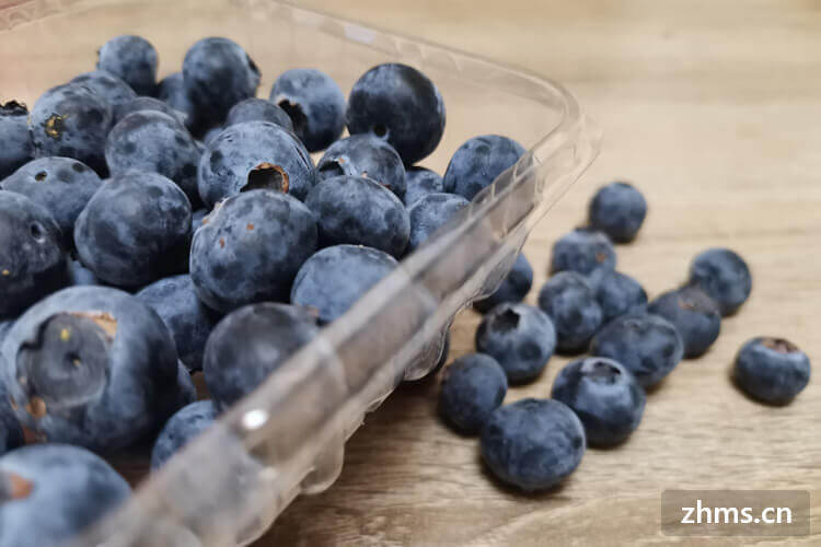 蓝莓里面的籽可以吃吗？蓝莓怎么挑选？