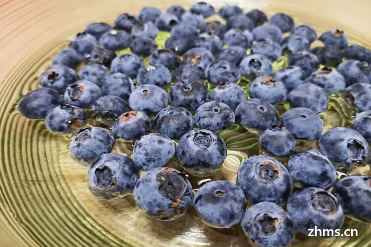蓝莓产地在哪里     蓝莓有哪些营养价值
