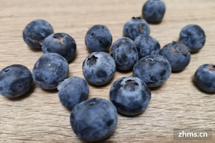 蓝莓有哪些品种？蓝莓哪个品种最好吃？
