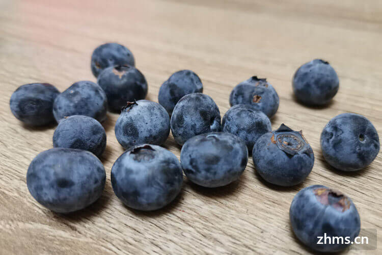 大棚蓝莓什么时候成熟