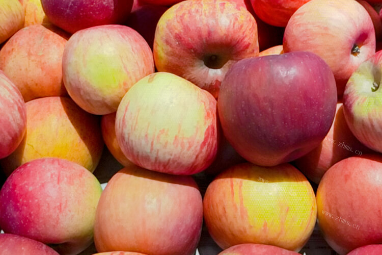 一般感觉苹果去了皮更好吃，苹果雪梨汤需要去皮吗？