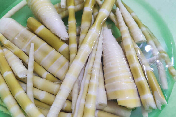今天想尝尝没吃过的麻竹笋，想知道麻竹笋的家常做法有哪些呢？