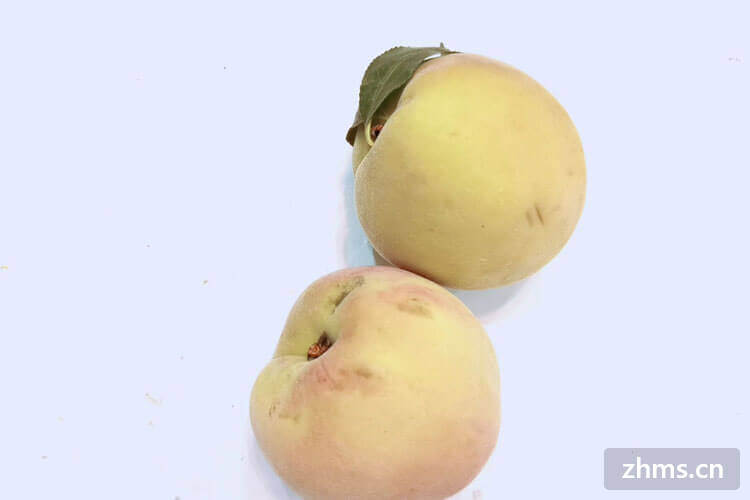 桃子怎么保存不容易坏?桃子怎么保存不会变软? 桃子怎么保存不容易坏?桃子怎么保存不会变软?