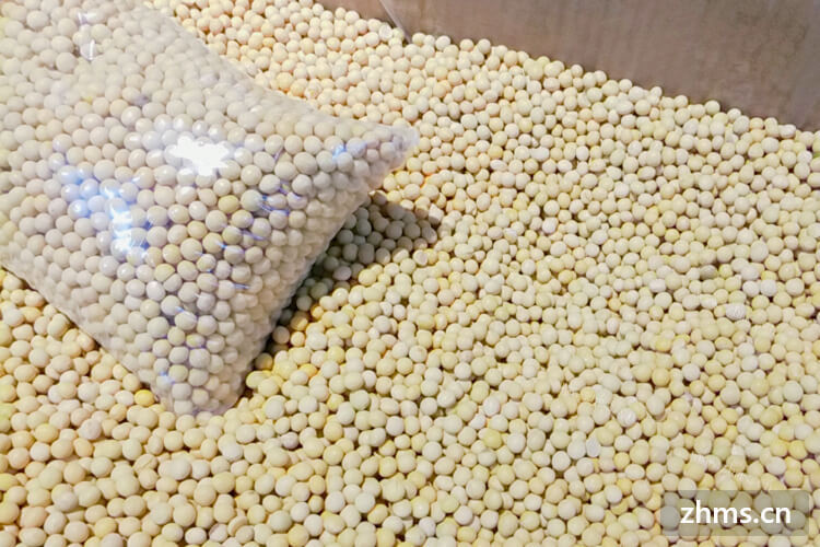 青豌豆苗和白豌豆苗的区别