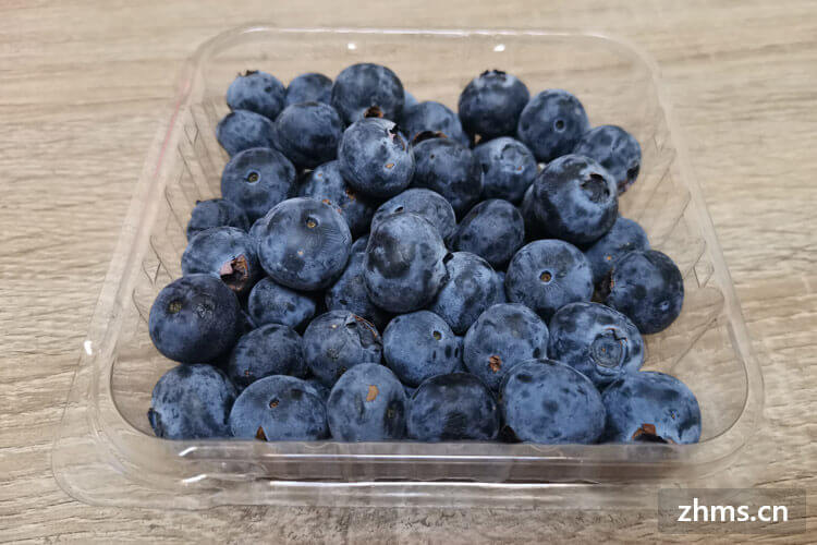蓝莓是什么样子的