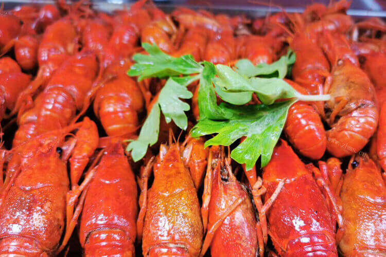 想吃小龙虾了，想问一下湖南和湖北小龙虾哪个更好？