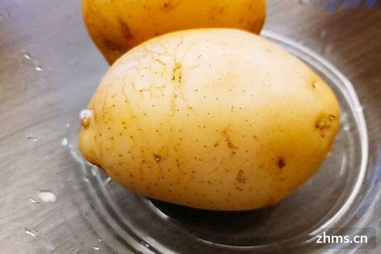 土豆能做成什么美食