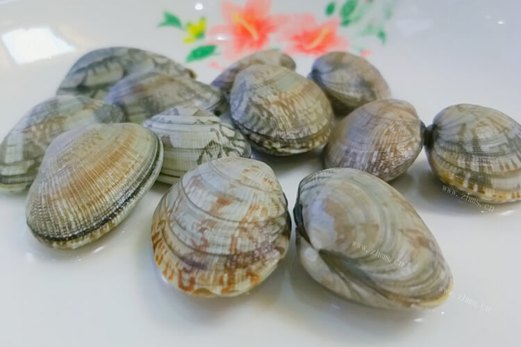 买了一斤花甲回来，一斤花甲大概有多少肉