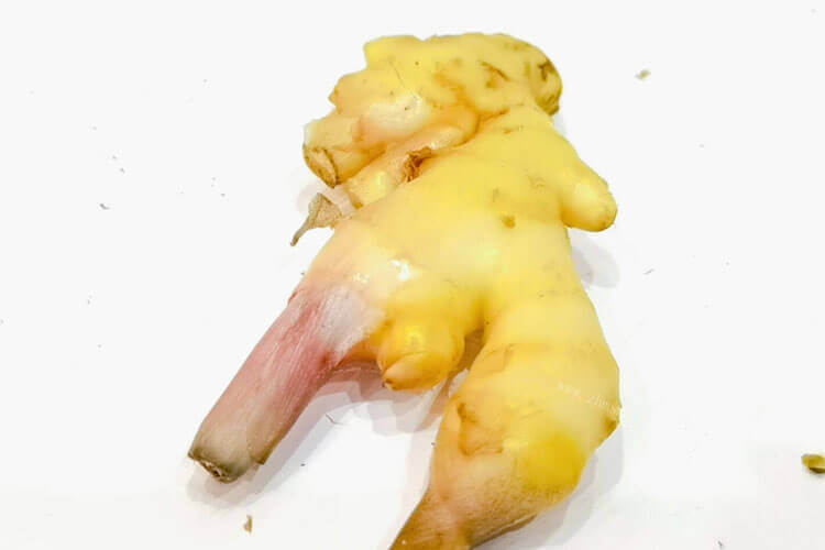 怎样做自贡仔姜兔，需要什么调料呢？