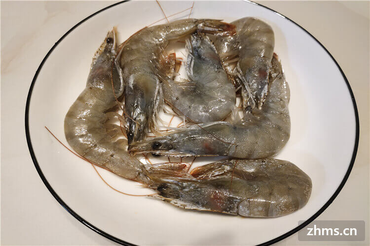草虾一般多少钱一斤？如何快速区分虾的种类？