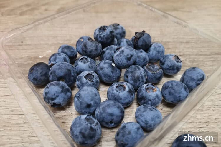 蓝莓里面的籽什么颜色