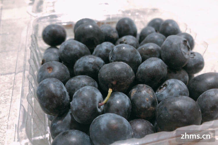 蓝莓怎么种植方法