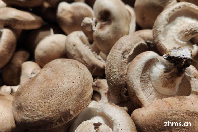 香菇要泡多久？香菇怎么保存？