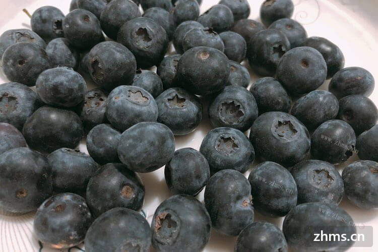 蓝莓酸怎么处理好吃