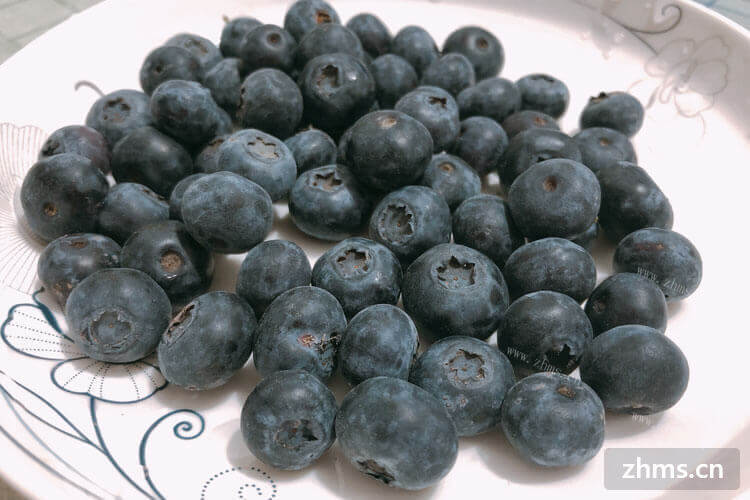 我们可以自己制作蓝莓山药泥，蓝莓山药泥要蒸多久时间呢？