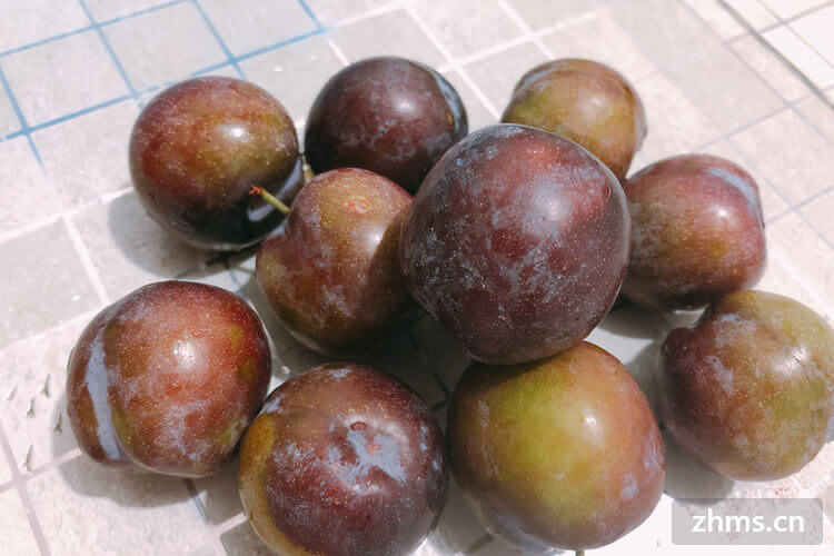蜂蜜李子什么时候成熟 蜂蜜李子什么时候成熟