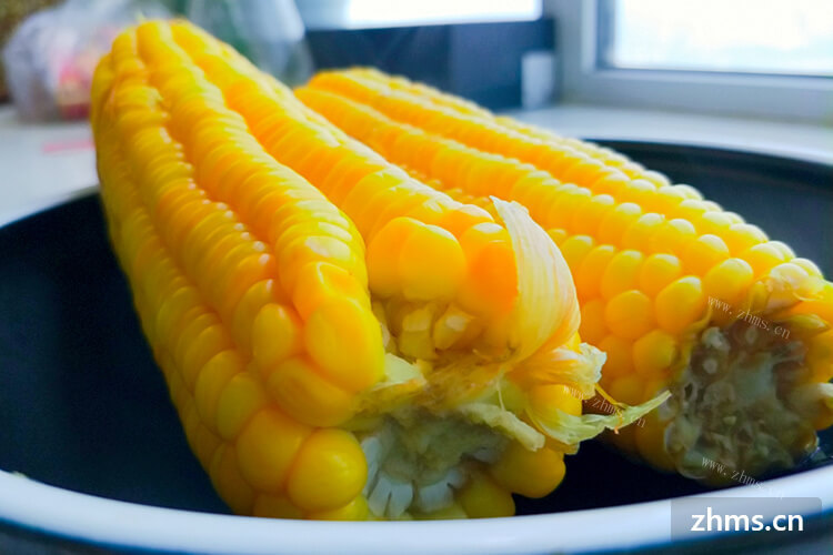 在家制作玉米面发糕，玉米面发糕蒸多久?