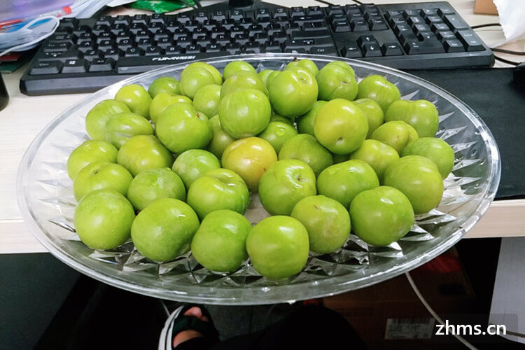 李子是什么季节水果 李子是什么季节水果