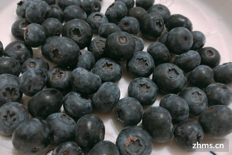 蓝莓是直接吃还是剥皮吃