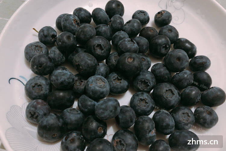 哪里的蓝莓最好吃