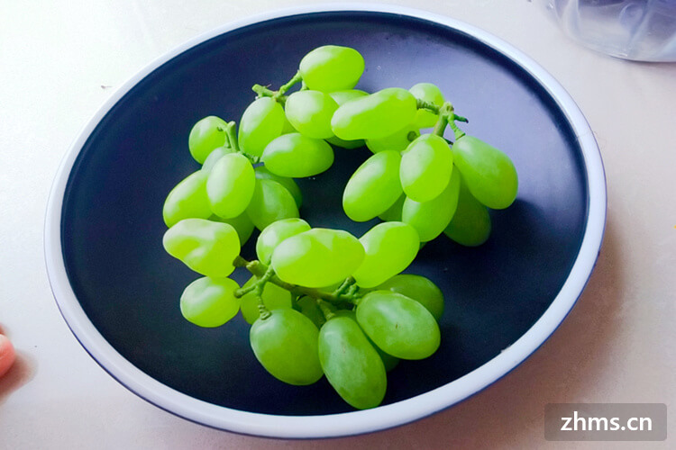 葡萄种植方法是什么