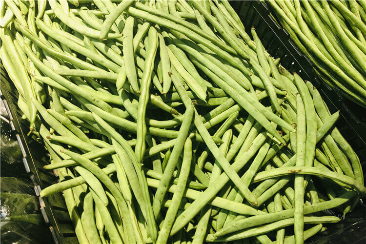 自己可以做酸豆角包子，酸豆角肉末包子馅要炒熟吗？
