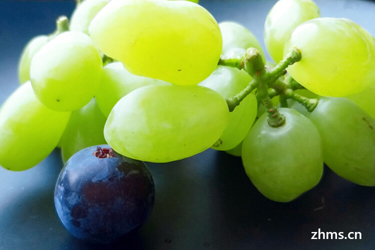 7月份的葡萄是催熟的吗
