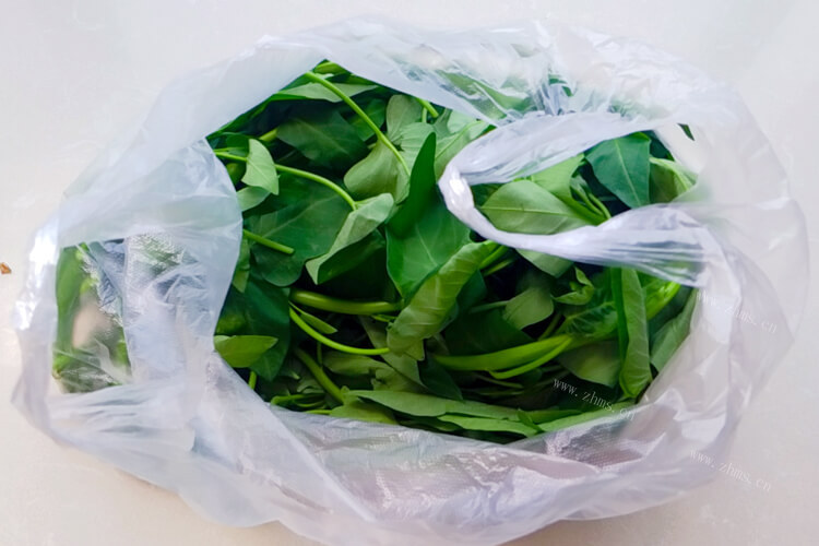 把空心菜焯水，空心菜要焯水几分钟呢？