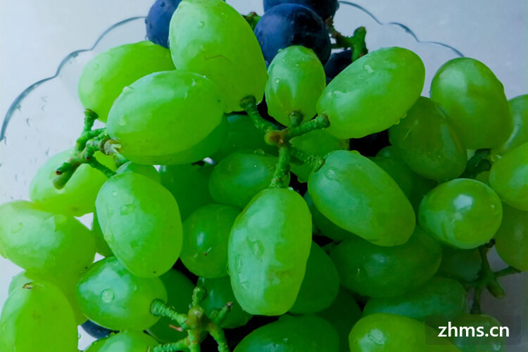 夏黑葡萄和巨峰葡萄哪个好吃