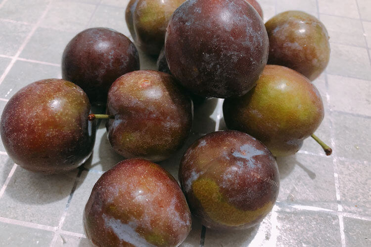 就喜欢吃酸甜味道的李子果，酸甜的李子品种有哪些？
